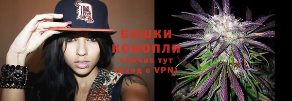 трава Беломорск
