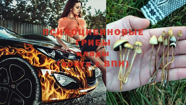 трава Беломорск