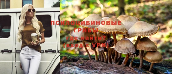 каннабис Белокуриха