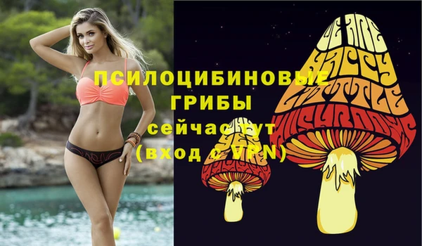 трава Беломорск