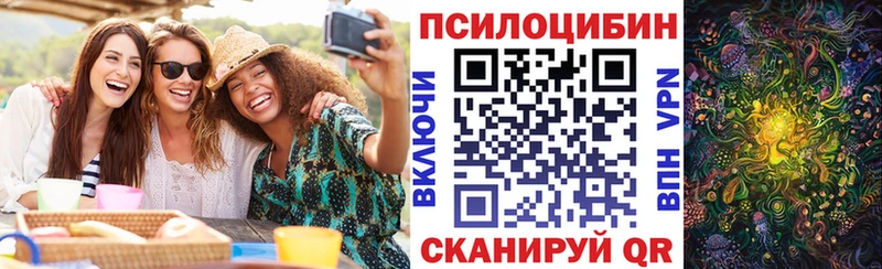 Псилоцибиновые грибы прущие грибы  Бежецк 
