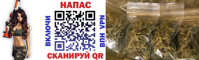 МАРИХУАНА план  Бежецк 